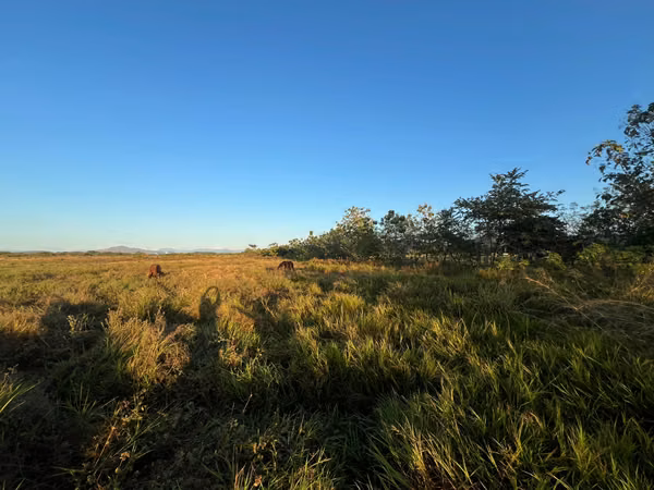 Prime Land for Sale in Penonomé