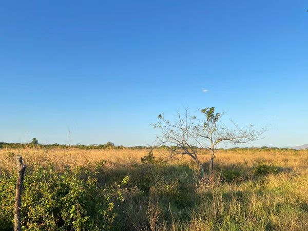 Prime Land for Sale in Penonomé