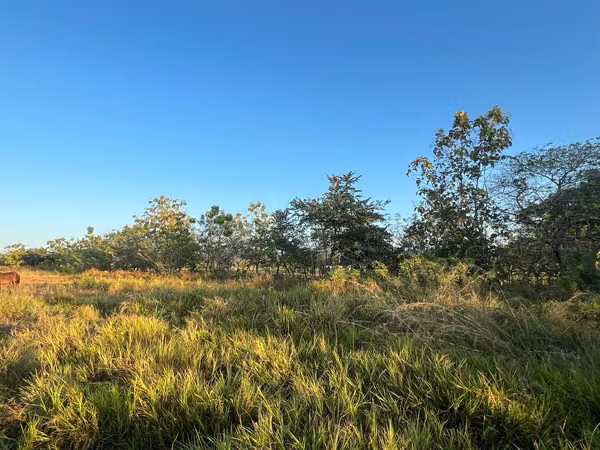 Prime Land for Sale in Penonomé