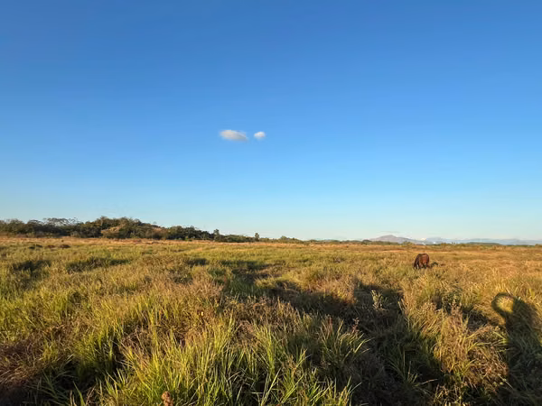 Prime Land for Sale in Penonomé