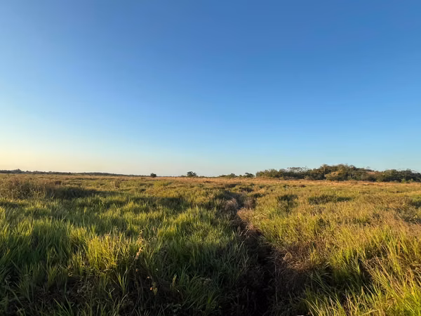 Prime Land for Sale in Penonomé