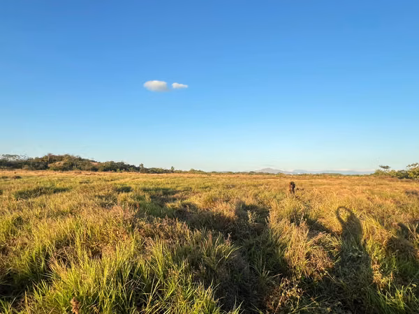 Prime Land for Sale in Penonomé