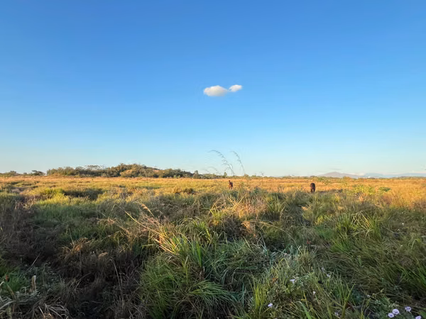 Prime Land for Sale in Penonomé