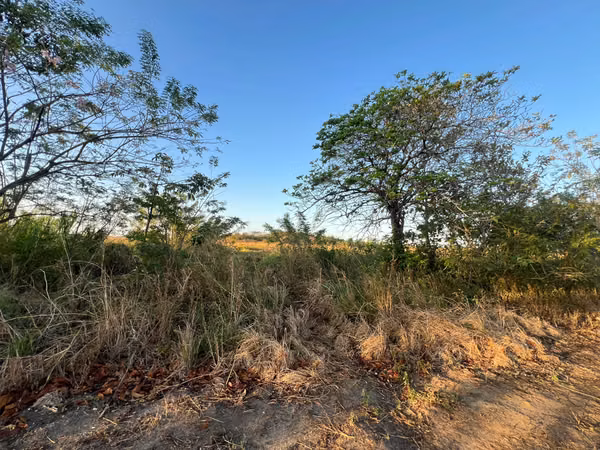 Prime Land for Sale in Penonomé