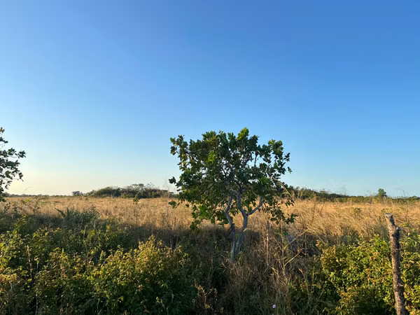 Prime Land for Sale in Penonomé