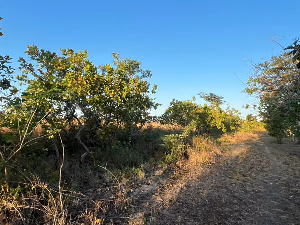 Prime Land for Sale in Penonomé