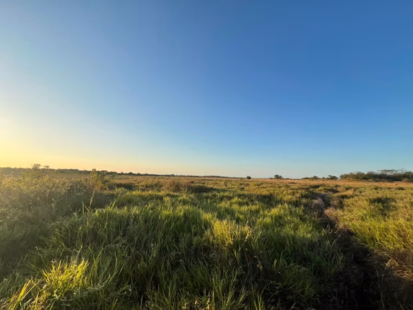 Prime Land for Sale in Penonomé