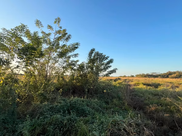 Prime Land for Sale in Penonomé