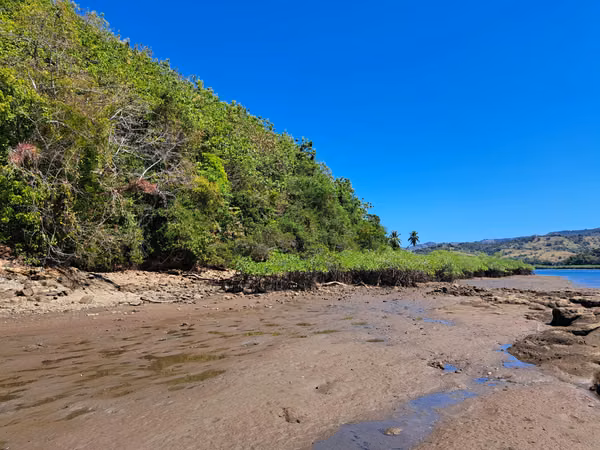 10-hectare island in the Gulf of Chiriquí