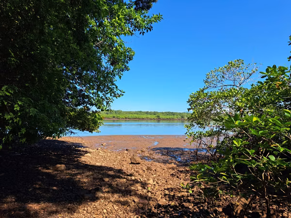 10-hectare island in the Gulf of Chiriquí