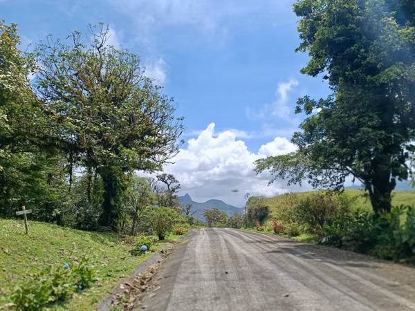 VENTA TERRENO ALTOS DEL MARIA PARA DESARROLLO 45 HECTAREAS MLD