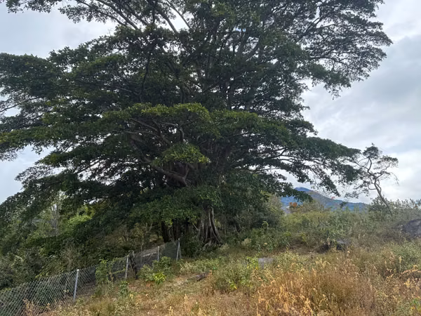 Land for Sale in Palmira Arriba, Boquete | 5,000 m² | Mountain Views | $128,000