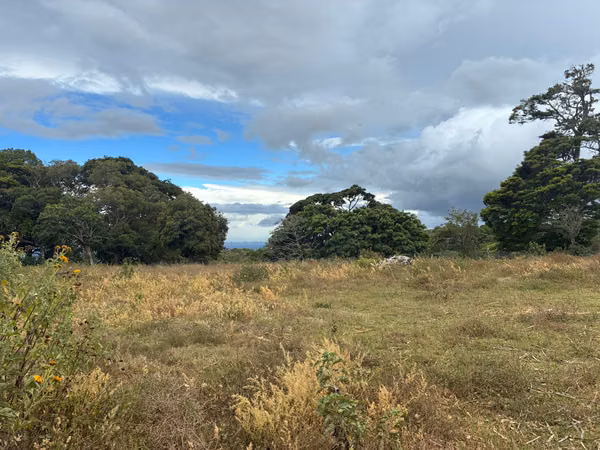 Land for Sale in Palmira Arriba, Boquete | 5,000 m² | Mountain Views | $128,000