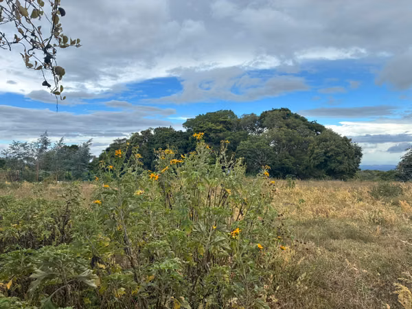 Land for Sale in Palmira Arriba, Boquete | 5,000 m² | Mountain Views | $128,000