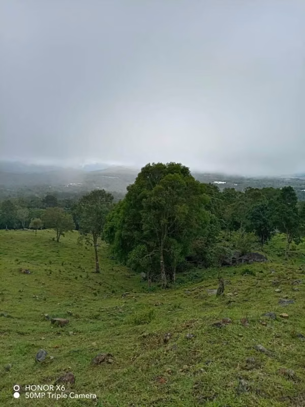 I sell 4.5 hectares of $40 per metre.