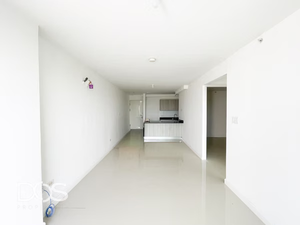 APARTMENT RENTAL WITH WHITE LINE IN THE FOREST