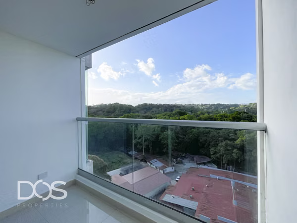 APARTMENT RENTAL WITH WHITE LINE IN THE FOREST