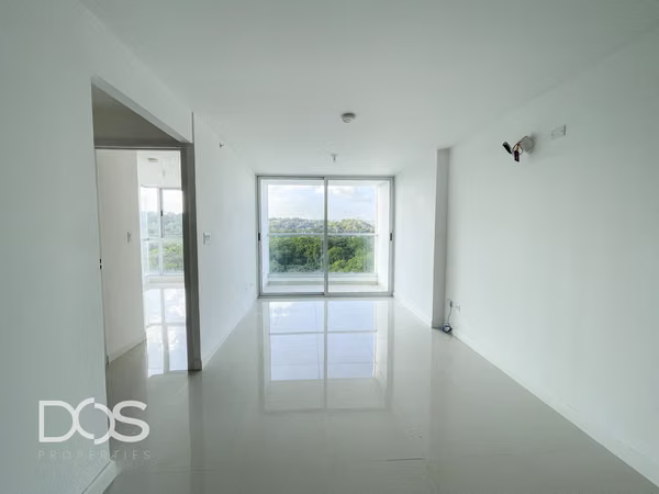 APARTMENT RENTAL WITH WHITE LINE IN THE FOREST