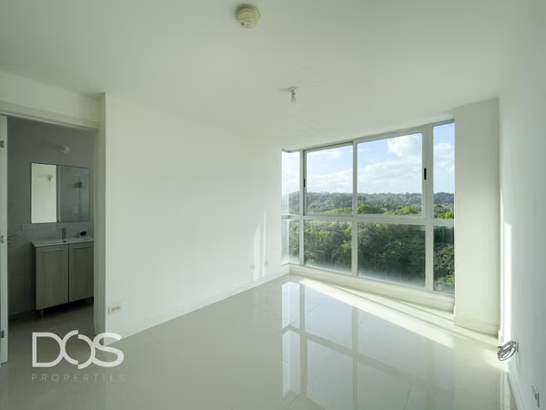 APARTMENT RENTAL WITH WHITE LINE IN THE FOREST