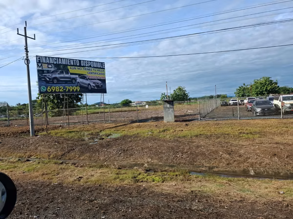 LAND RENTAL IN CURRENCY