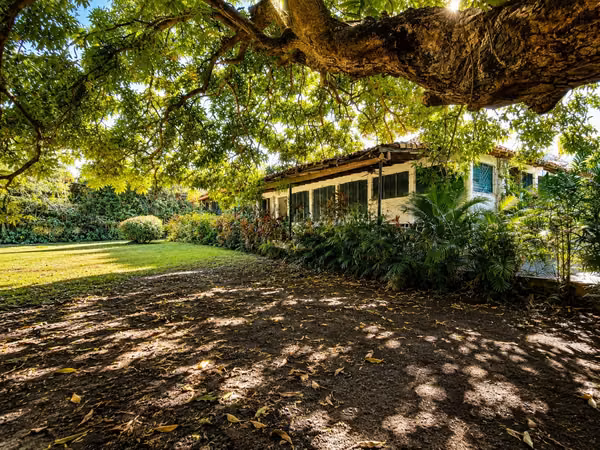 Terreno de 1,556m² en Altos del Golf con casa colonial para restaurar