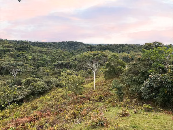 90-hectare farm for sale in Colón