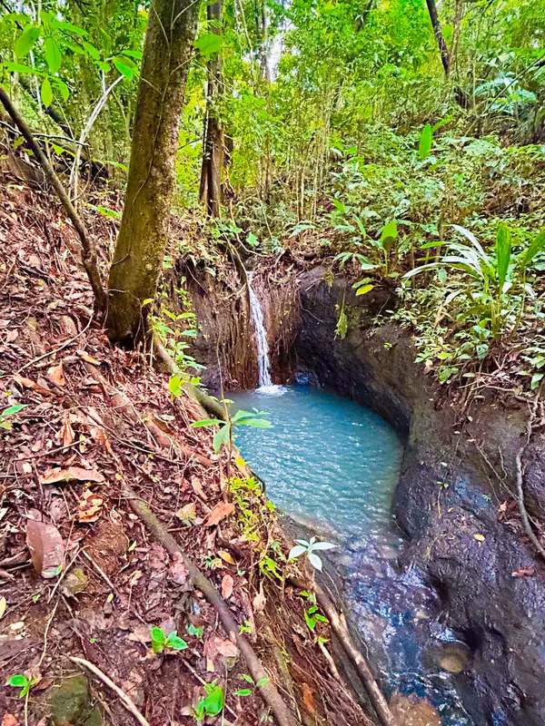 90-hectare farm for sale in Colón