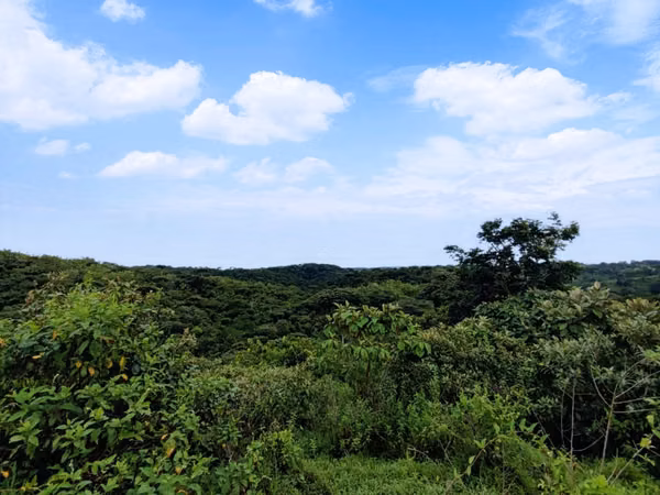 90-hectare farm for sale in Colón