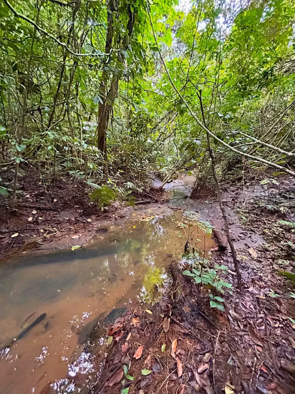 90-hectare farm for sale in Colón
