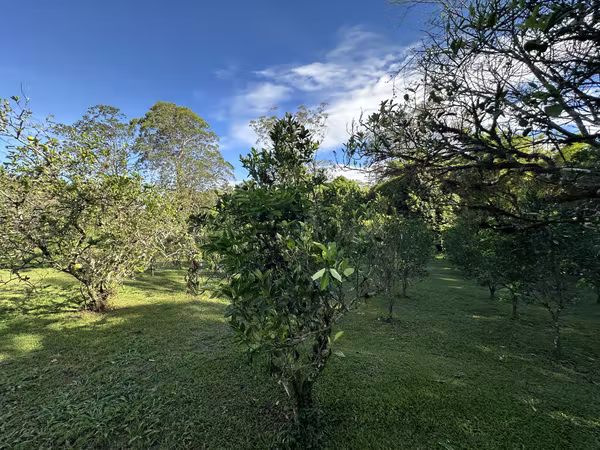 FURNISHED AND FENCED APARTMENT FOR RENT IN VOLCÁN