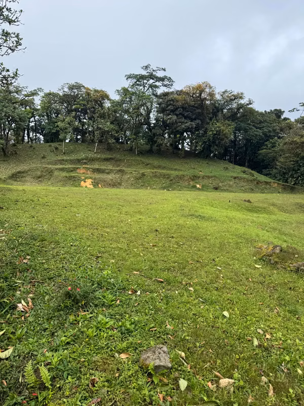 Flat and spacious lot for sale, 1.27 ACRES, excellent climate, Altos del María Sorá