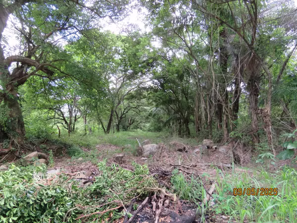 Land for Sale – Strategic location in San Carlitos, David