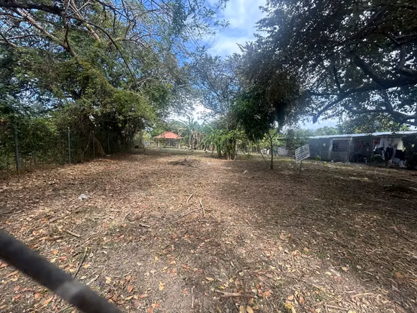 I sell flat beach land in Nueva Gorgona. Negotiable