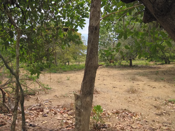 SOLD FLAT GROUND ON THE CHIRU