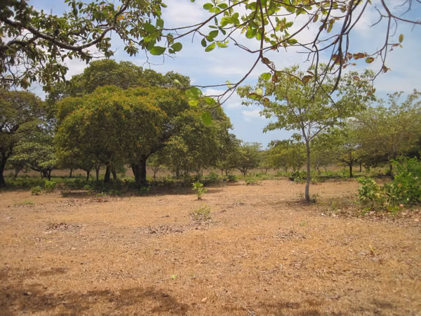SOLD FLAT GROUND ON THE CHIRU