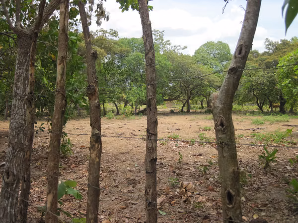 SOLD FLAT GROUND ON THE CHIRU