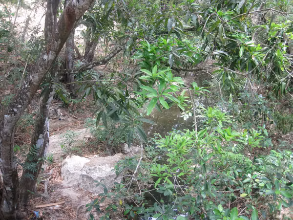 SOLD FLAT GROUND ON THE CHIRU