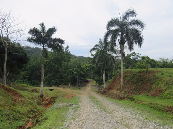 6 HECTAREAS EN LA CABIMA en las cumbres  ENTRANDO POR SUPER 99