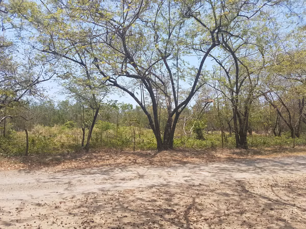 Se vende Terreno FRENTE DE PLAYA y carretera OV