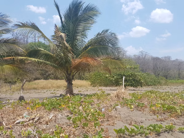 Se vende Terreno FRENTE DE PLAYA y carretera OV