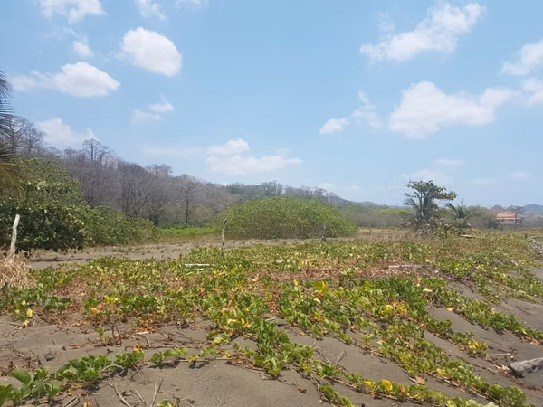 Se vende Terreno FRENTE DE PLAYA y carretera OV