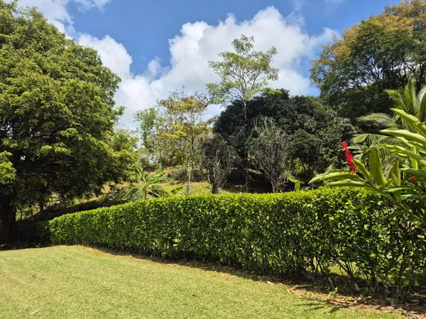 VENTA DE FINCA AGROTURISTICA EN PORTOBELO