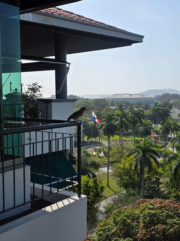 Gorgeous apartment in Amador 337m²