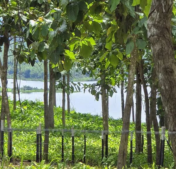 Finca 02 LAGO Front of 2,827 M2 Financed to $200 fortnightly Without INTERES.