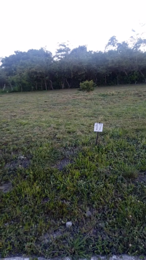 Vendo terreno en “Gorgona” de 642m2, especial $62,000 negociable