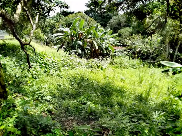 Land is sold in Calle Los Caobos Las Sumbres