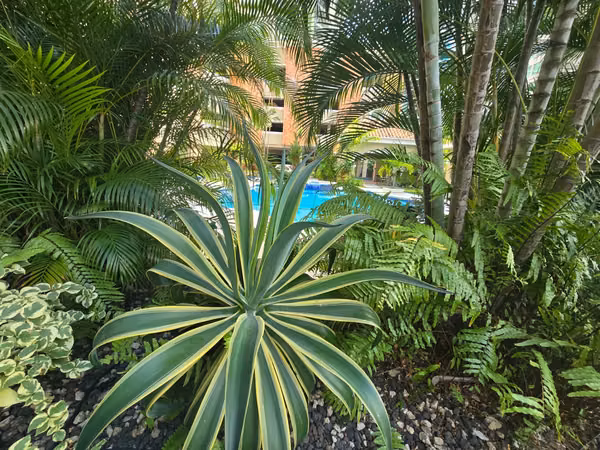Apartment for Sale in PH Green bay  - Costa del Este