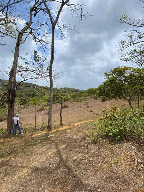 SALE OF FARM IN THE PLAIN SECTOR
