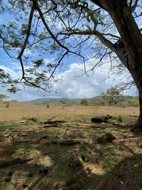 SALE OF FARM IN THE PLAIN SECTOR