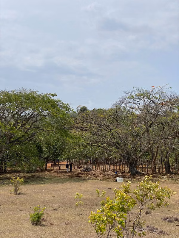 SALE OF FARM IN THE PLAIN SECTOR